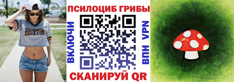 Псилоцибиновые грибы Psilocybine cubensis hydra рабочий сайт Ершов