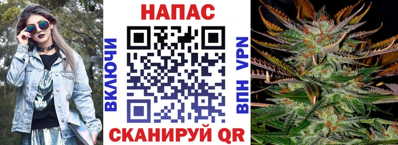 Конопля гибрид  Ершов 